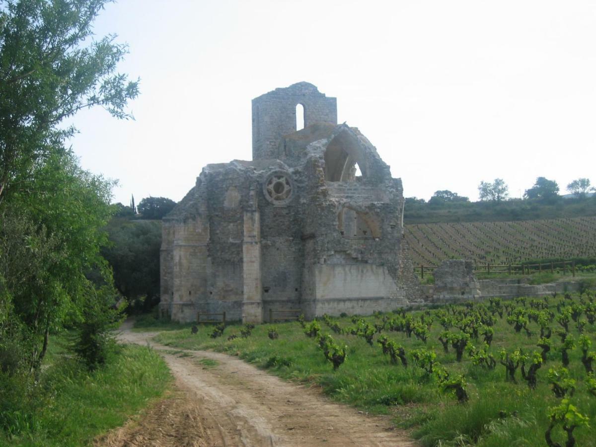 Maison De La Fontaine Embres-et-Castelmaure Esterno foto