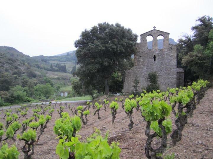 Maison De La Fontaine Embres-et-Castelmaure Esterno foto